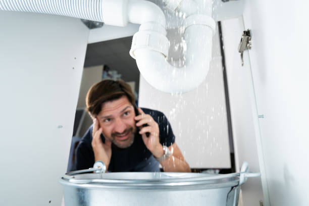 Best Local Plumber Services  in Badger, AK