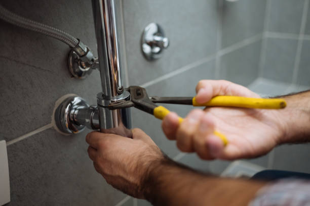 Best Local Plumber Services  in Badger, AK