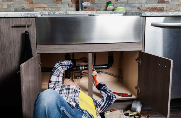 Best Plumbing Inspection Services  in Badger, AK