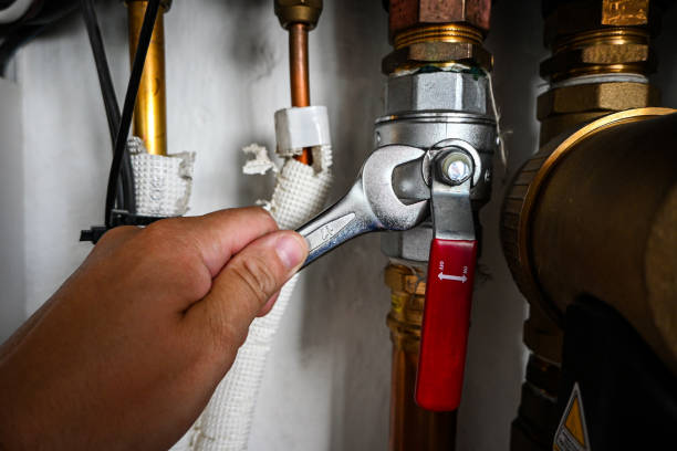 Best Hot Water Heater Installation  in Badger, AK